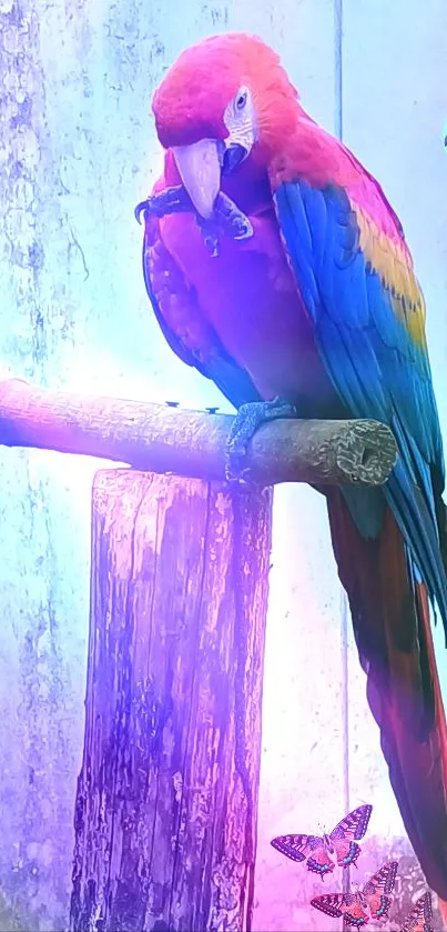 Vibrant macaw wallpaper with bright colors.