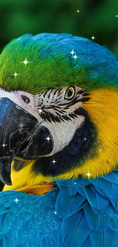 Vibrant blue and yellow parrot with lush green background.