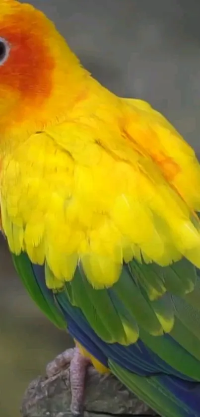 Vibrant parrot with yellow and green feathers on a natural branch.