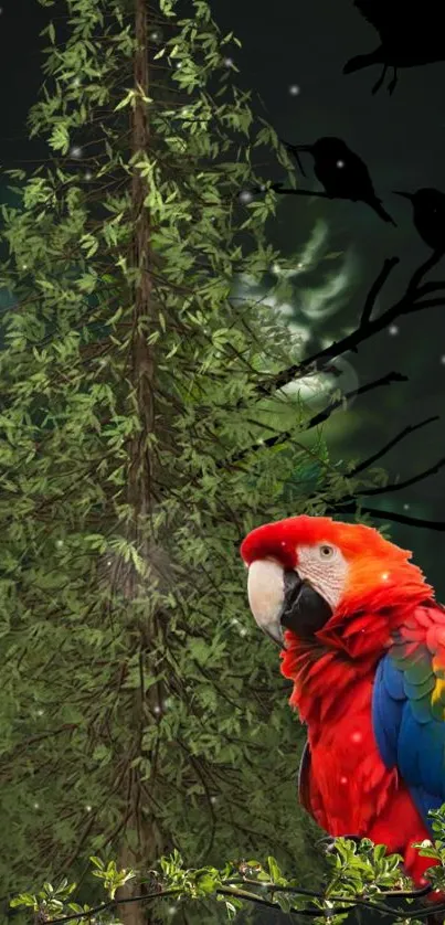 Colorful parrot in lush green forest wallpaper.