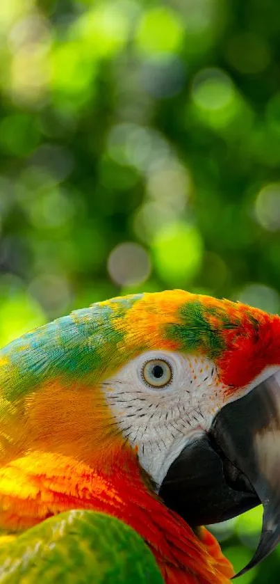 Vibrant parrot with green foliage background.