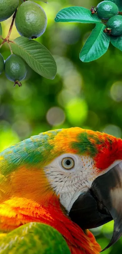 Vibrant parrot with green leaves on lush forest background.