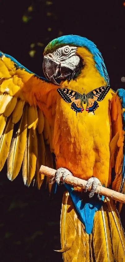 Vibrant yellow and blue macaw perched with wings spread wide.