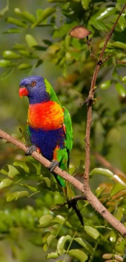 Colorful parrot perched on a branch against a green leafy background.