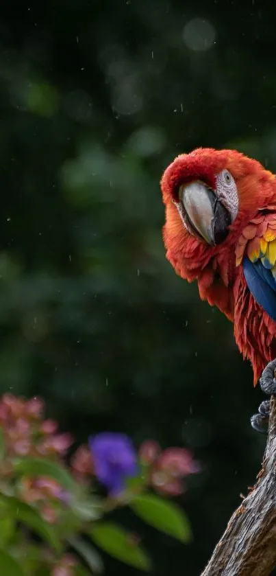 Colorful parrot perched on a branch against a green background.