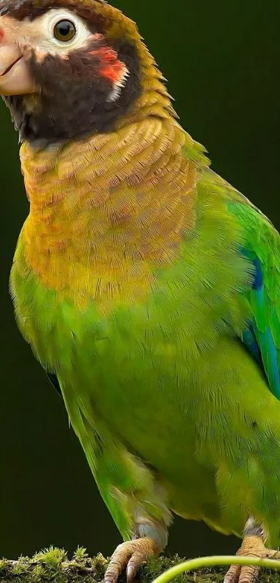 Vibrant parrot with green feathers on a lush background.