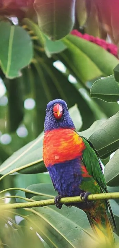 Colorful parrot perched on green leafy branch.