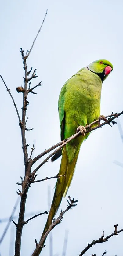 A vibrant green parrot perched on tree branches in a serene setting.