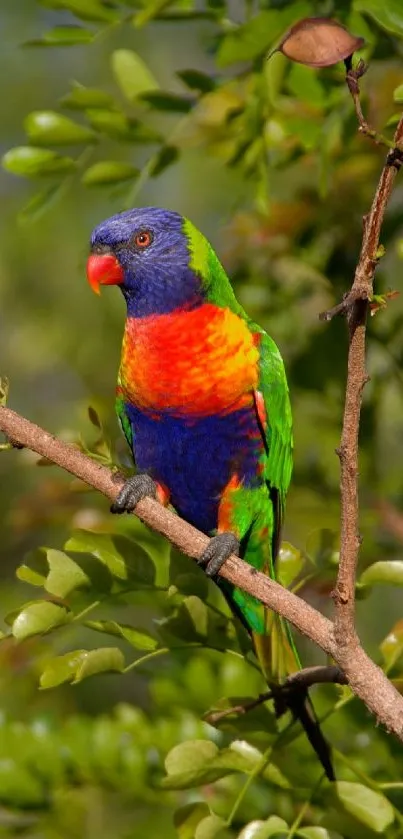 A colorful parrot perched on a tree branch surrounded by green leaves.