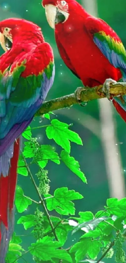 Vibrant parrots perched in a green jungle setting, perfect for mobile wallpaper.