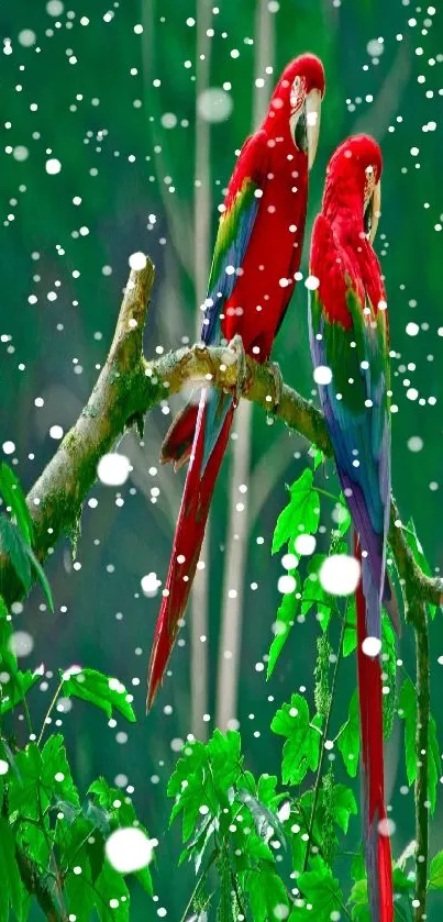 Vibrant red parrots perched on a branch in lush green jungle foliage.