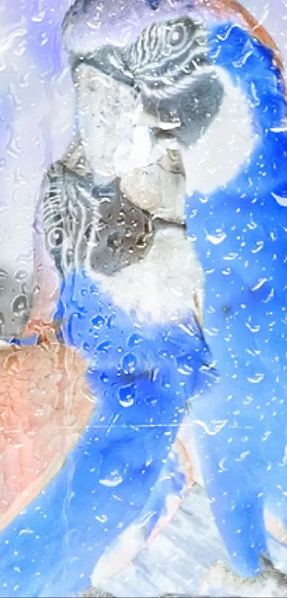 Blue parrots with rain droplets on wallpaper.