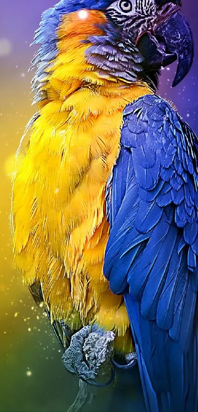 Colorful parrot with bright blue and yellow feathers on phone wallpaper.