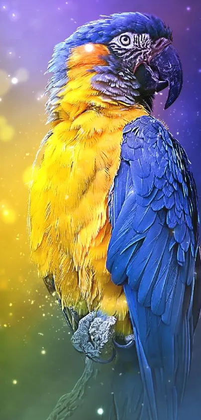 Vibrant blue and yellow parrot on colorful background wallpaper.