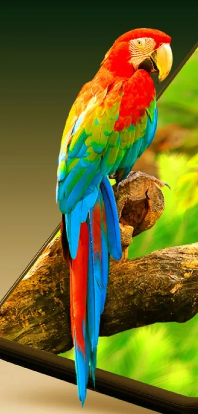 Colorful parrot extends from a smartphone screen.