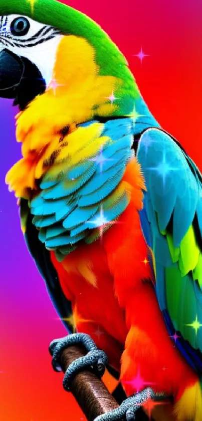 Vibrant parrot with colorful feathers on a gradient background.