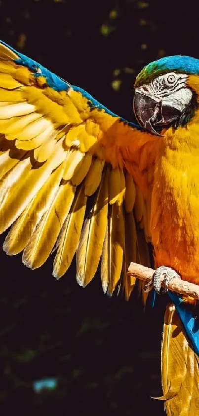 Vibrant macaw with colorful feathers perched on a stick.