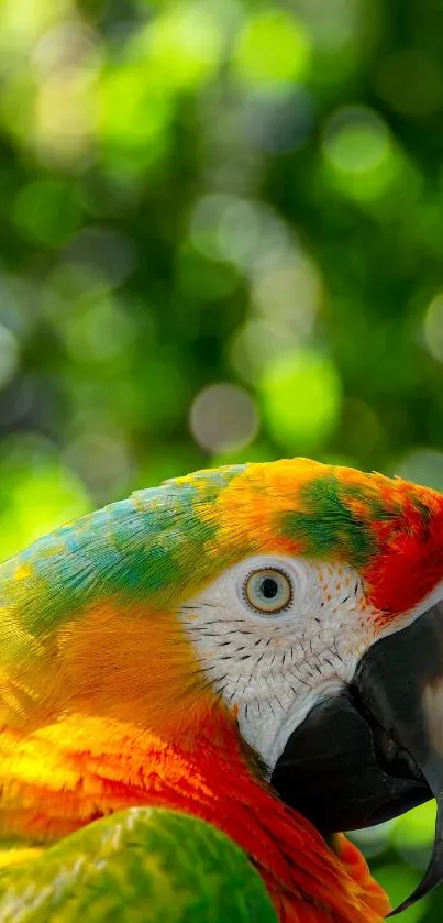 Vibrant parrot perched with lush green background.