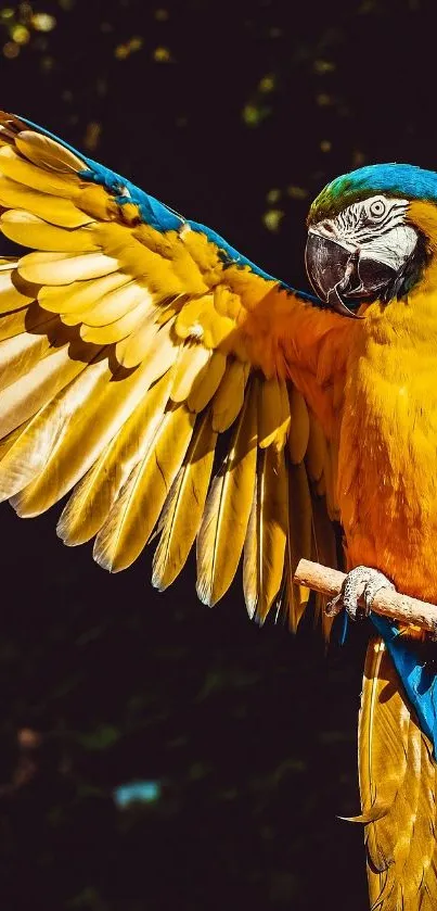 A vibrant yellow and blue parrot spreading wings on a branch.