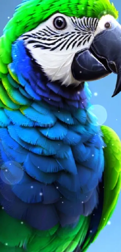 Vibrant green and blue parrot wallpaper for mobile phones.