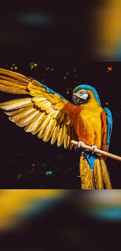 Bright macaw with open wings on a branch, vivid colors.