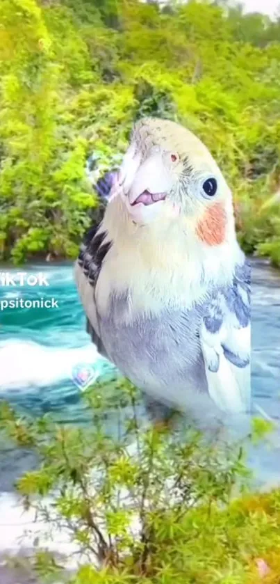 Vibrant cockatiel in lush green landscape wallpaper.