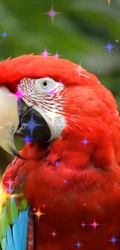 Colorful parrot with sparkling stars in a vivid nature setting.