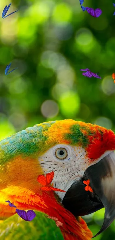 A vibrant macaw parrot with green and yellow feathers in a lush forest background.