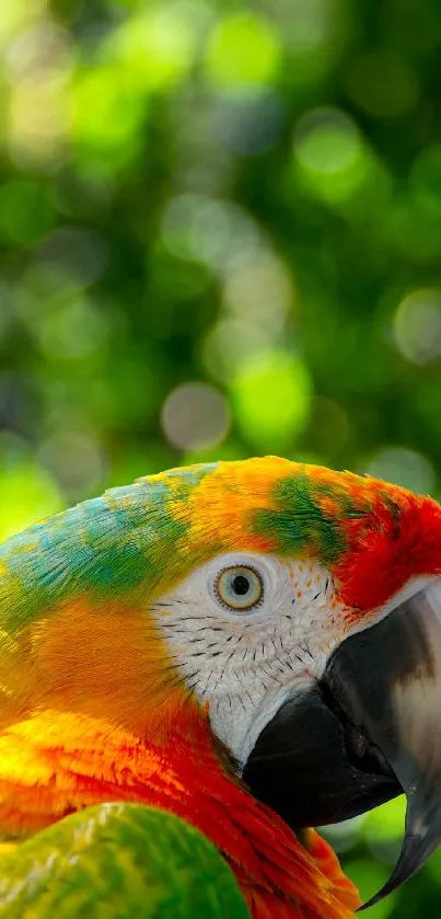 Close-up of a vibrant parrot with a lush green bokeh background.
