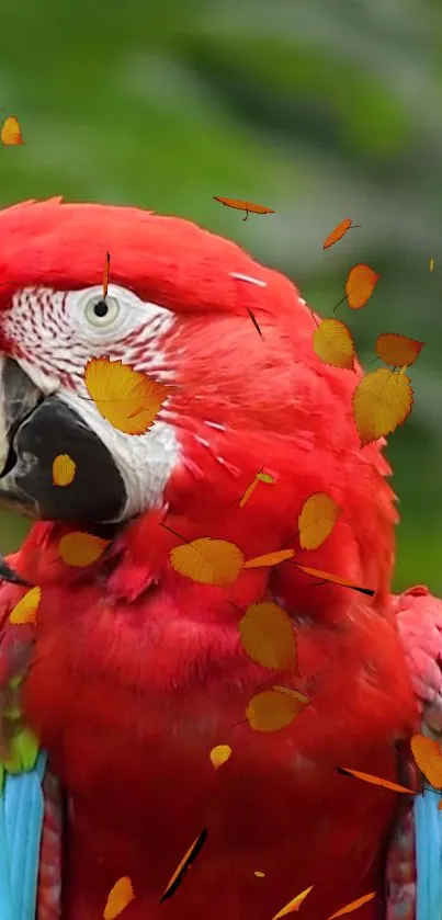 Colorful parrot with red and green feathers on a leafy background.