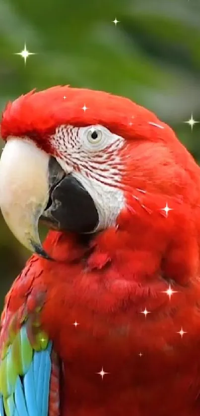 Red parrot with stars on a nature background.