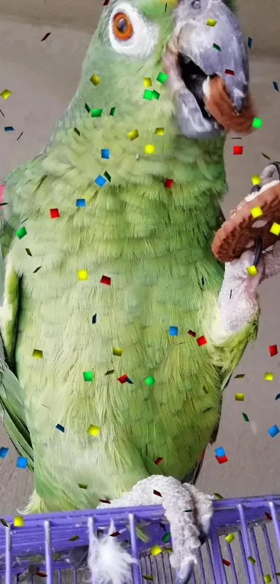 Green parrot holding a cookie with colorful confetti background.