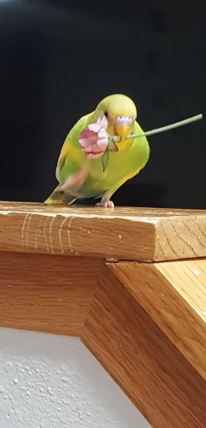 Green parrot holding a pink flower on a wooden ledge.