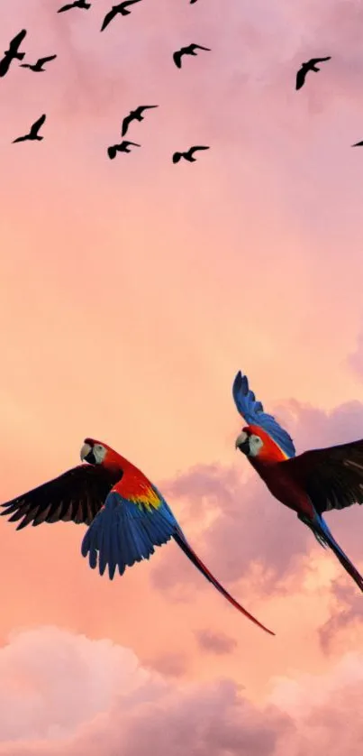 Vibrant parrots flying in a peach-colored sunset sky with scattered birds.