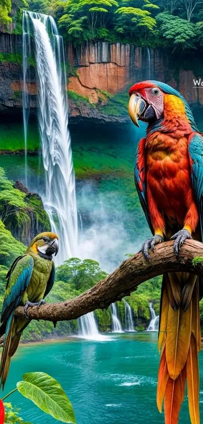 Two vibrant parrots perched before a majestic waterfall, perfect for a mobile wallpaper.