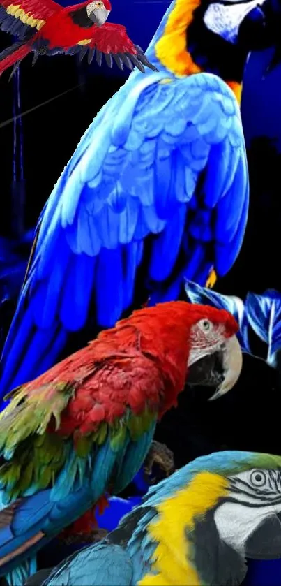 Vibrant parrots with bright feathers in a colorful nature setting.