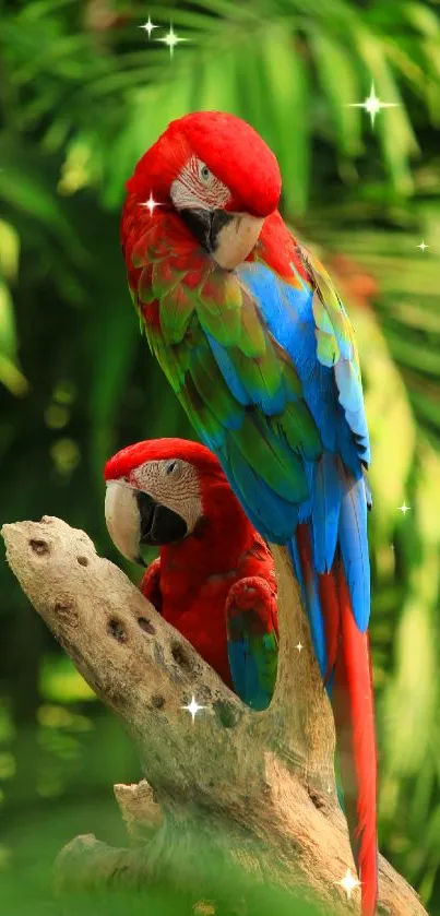 Two vibrant parrots perched in lush green jungle.