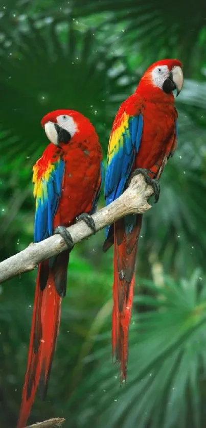 Two vibrant parrots sit in lush jungle foliage, showcasing vivid colors.