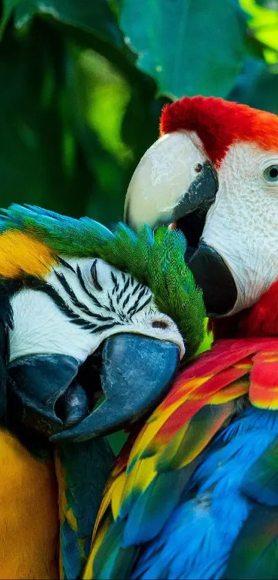 Vibrant parrot wallpaper with colorful macaws nestled in lush greenery.