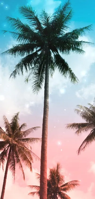 Tropical pastel palm tree wallpaper with vibrant blue and pink sky backdrop.