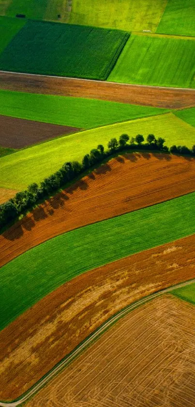 Aerial view of vibrant green patchwork fields.