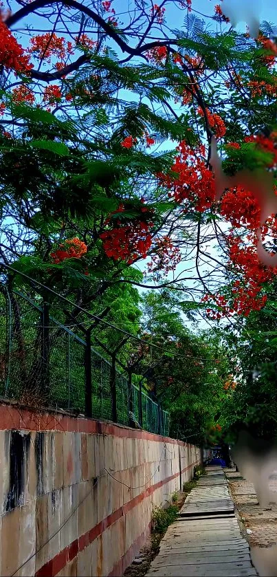 Vibrant pathway with red blossoms and lush trees, creating a serene natural scene.