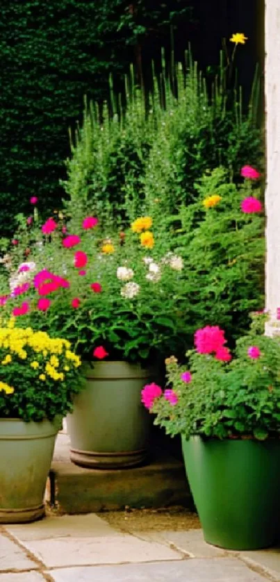 Vibrant patio garden with colorful flowers in pots.