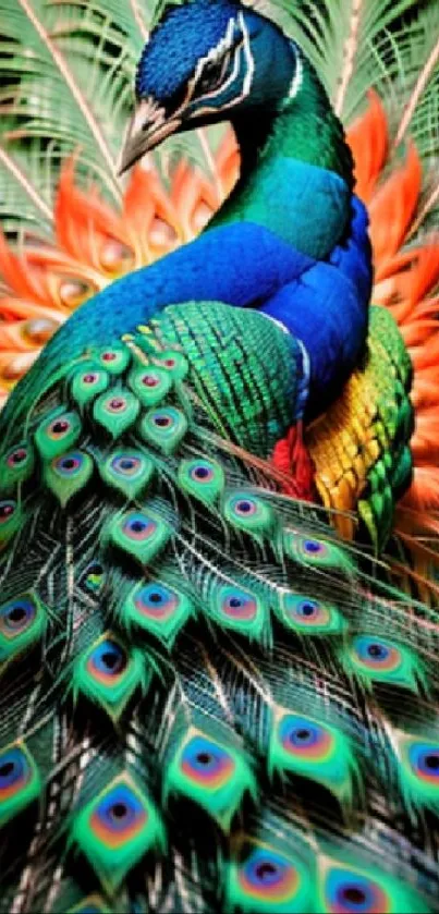 Vibrant artistic peacock with colorful feathers.