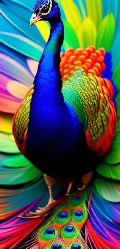 Vibrant mobile wallpaper featuring a colorful peacock with rainbow feathers.