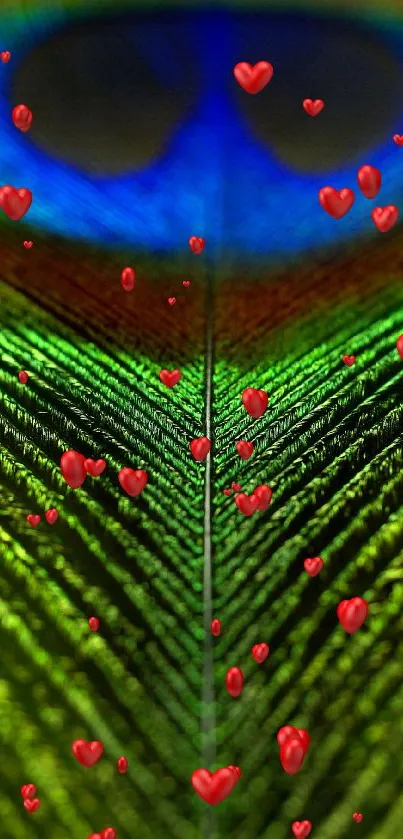 Vibrant close-up of a peacock feather with striking green and blue colors.