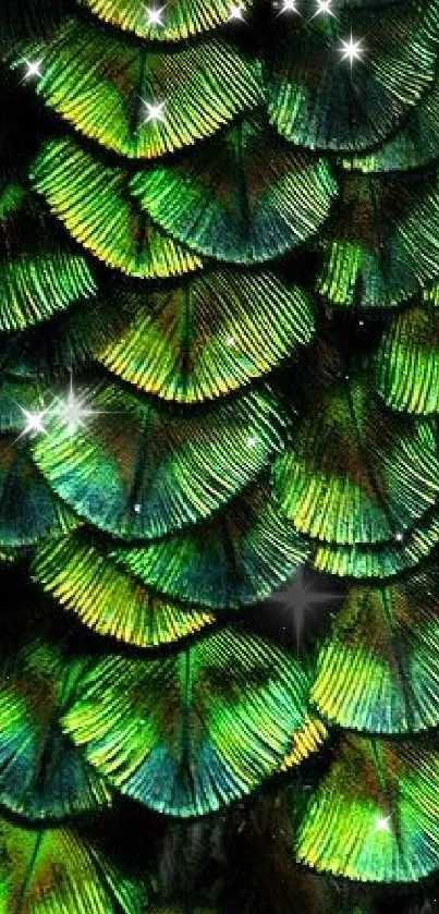 Vibrant peacock feather pattern wallpaper with emerald green hues.