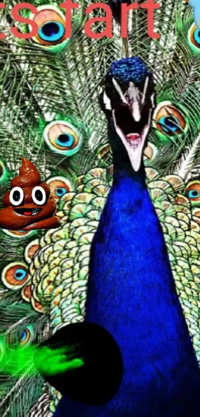 Mobile wallpaper featuring vibrant peacocks with colorful feathers and dramatic design.