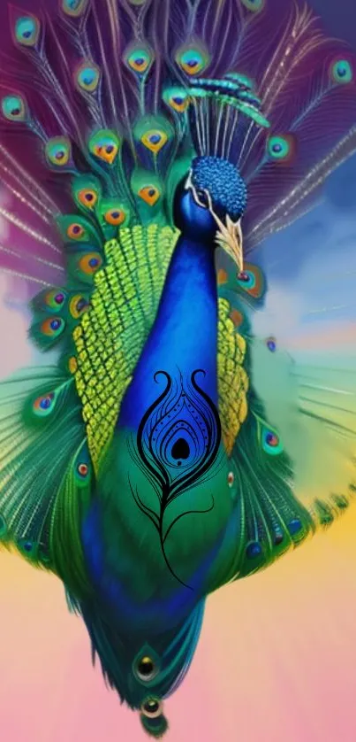 Vibrant peacock with colorful plumage on a mobile wallpaper background.