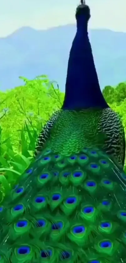 Vibrant green and blue peacock with lush greenery background.